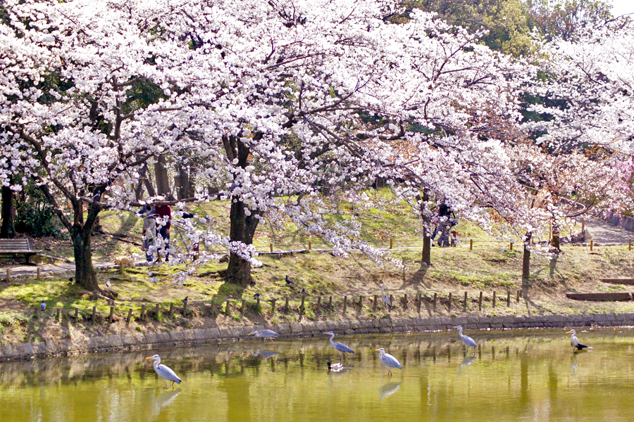 鶴見緑地公園